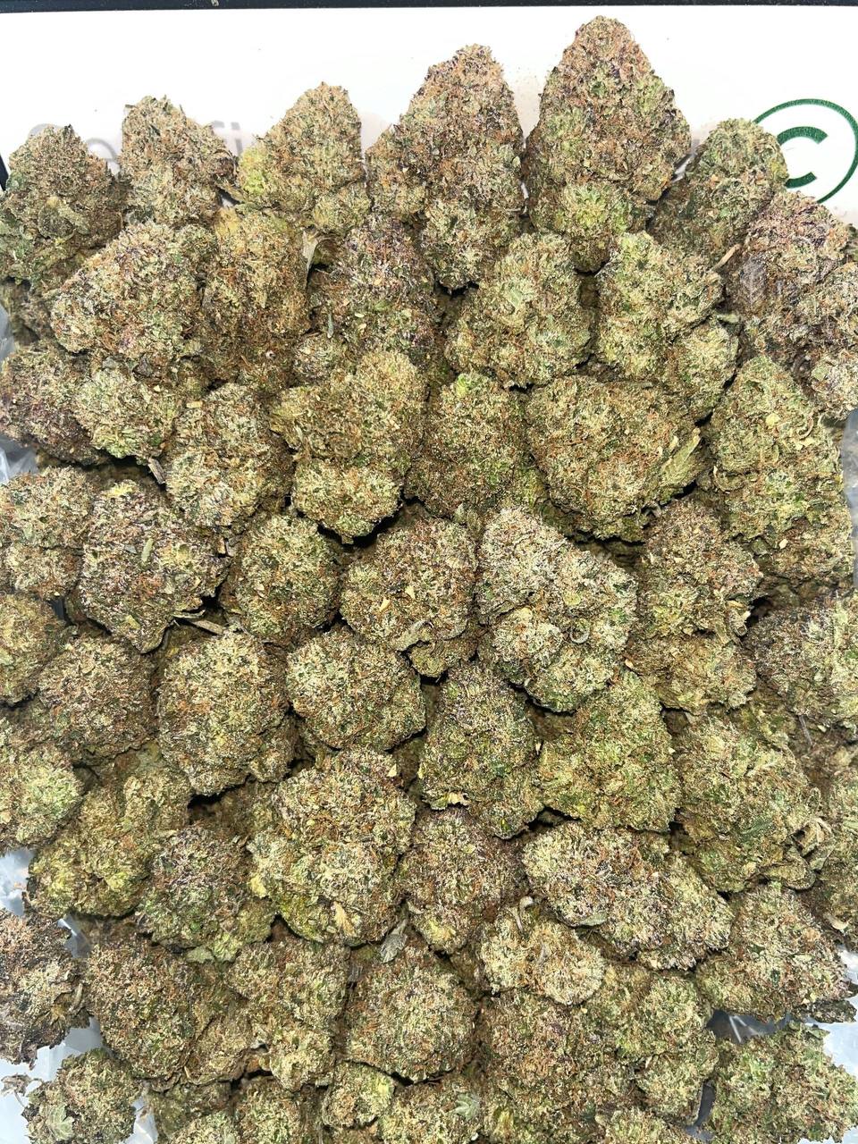 lcg