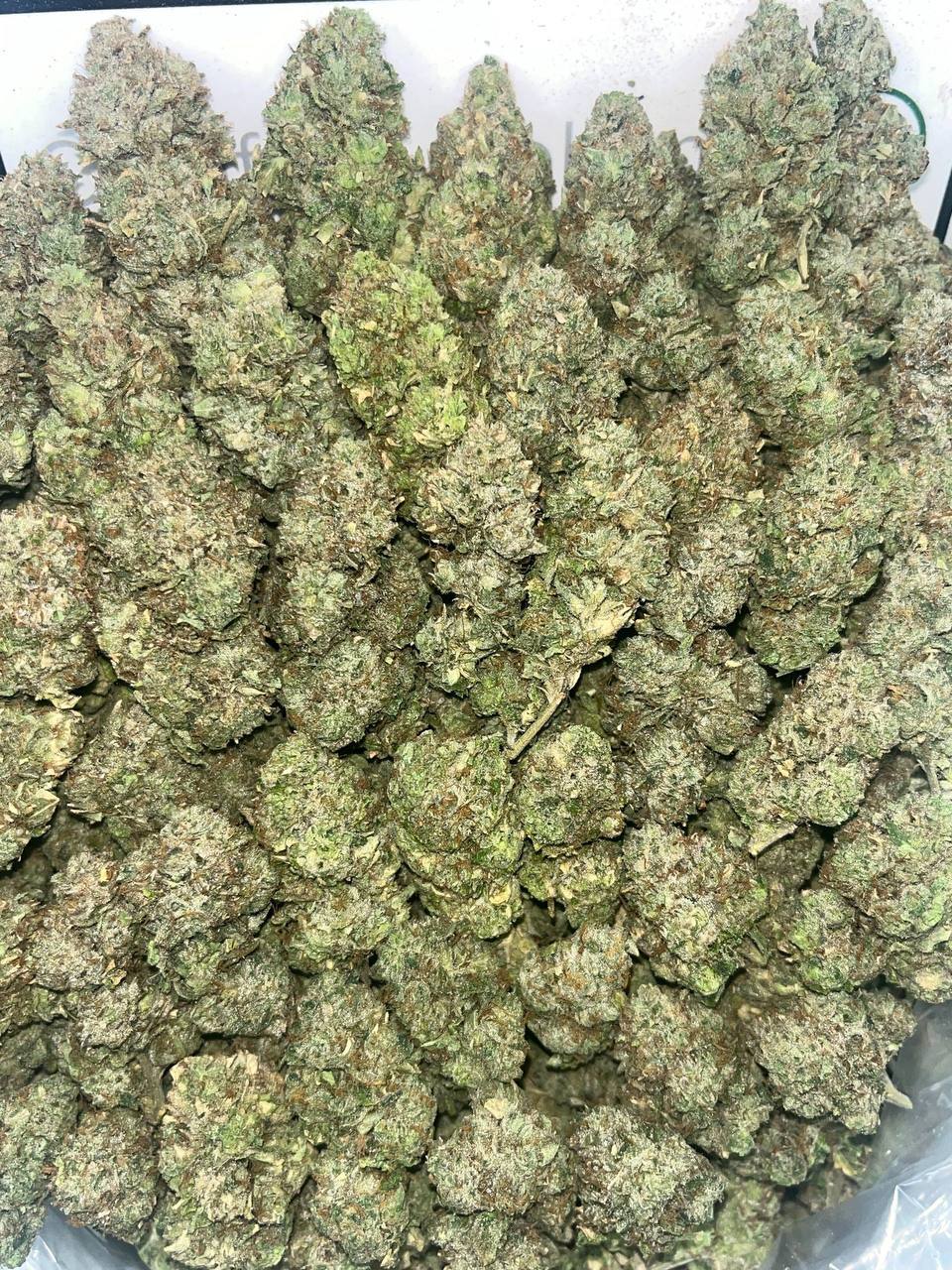 lcg