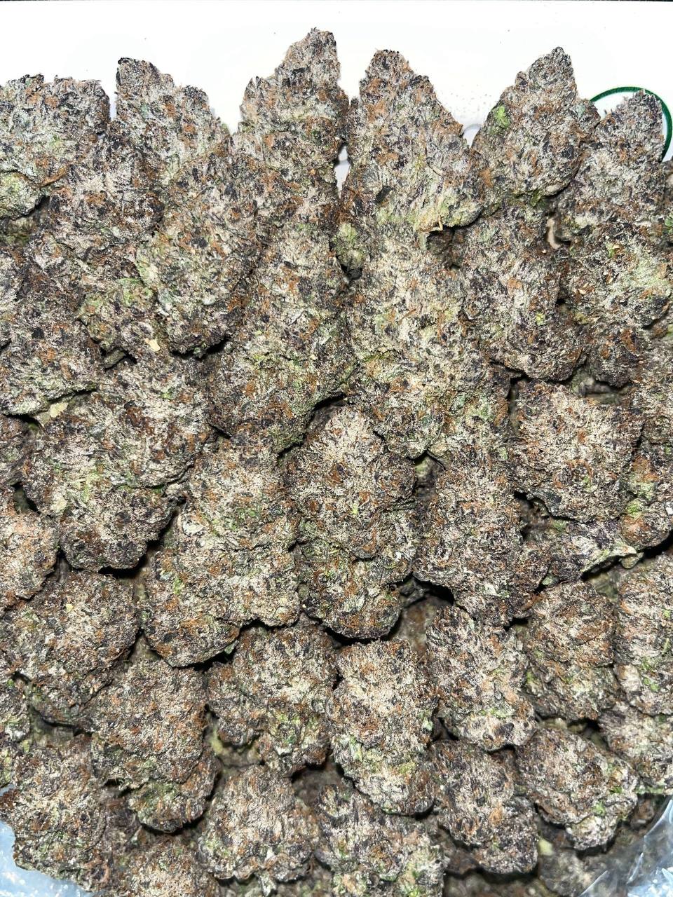 lcg