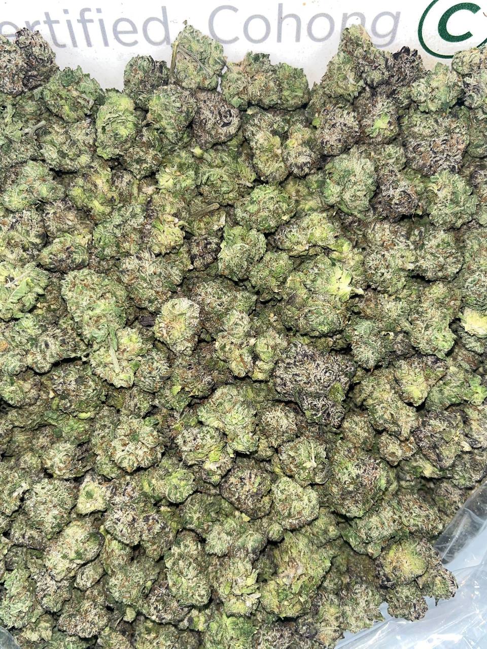 lcg