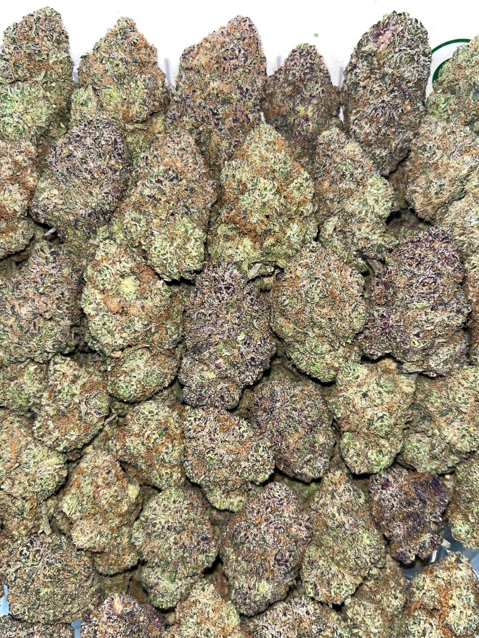 lcg