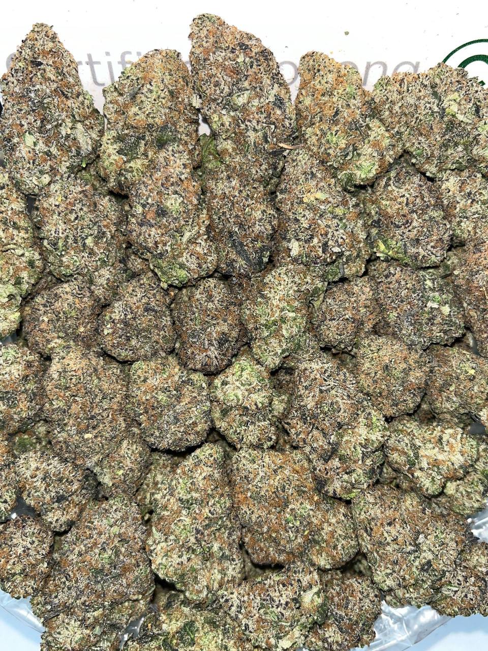 lcg