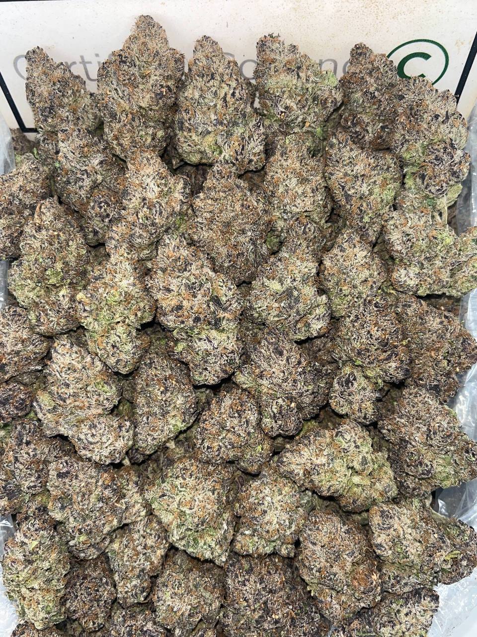 lcg