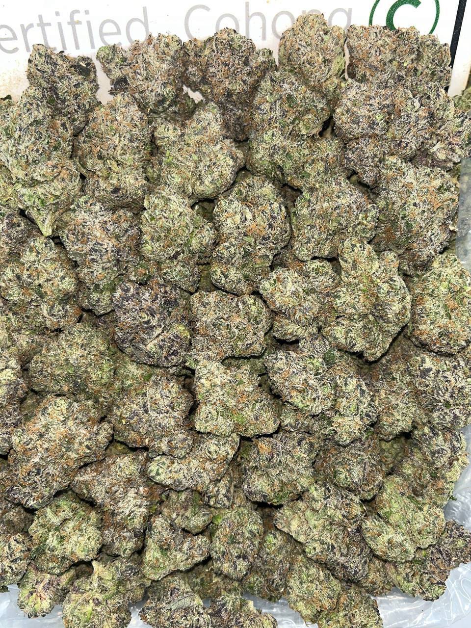 lcg