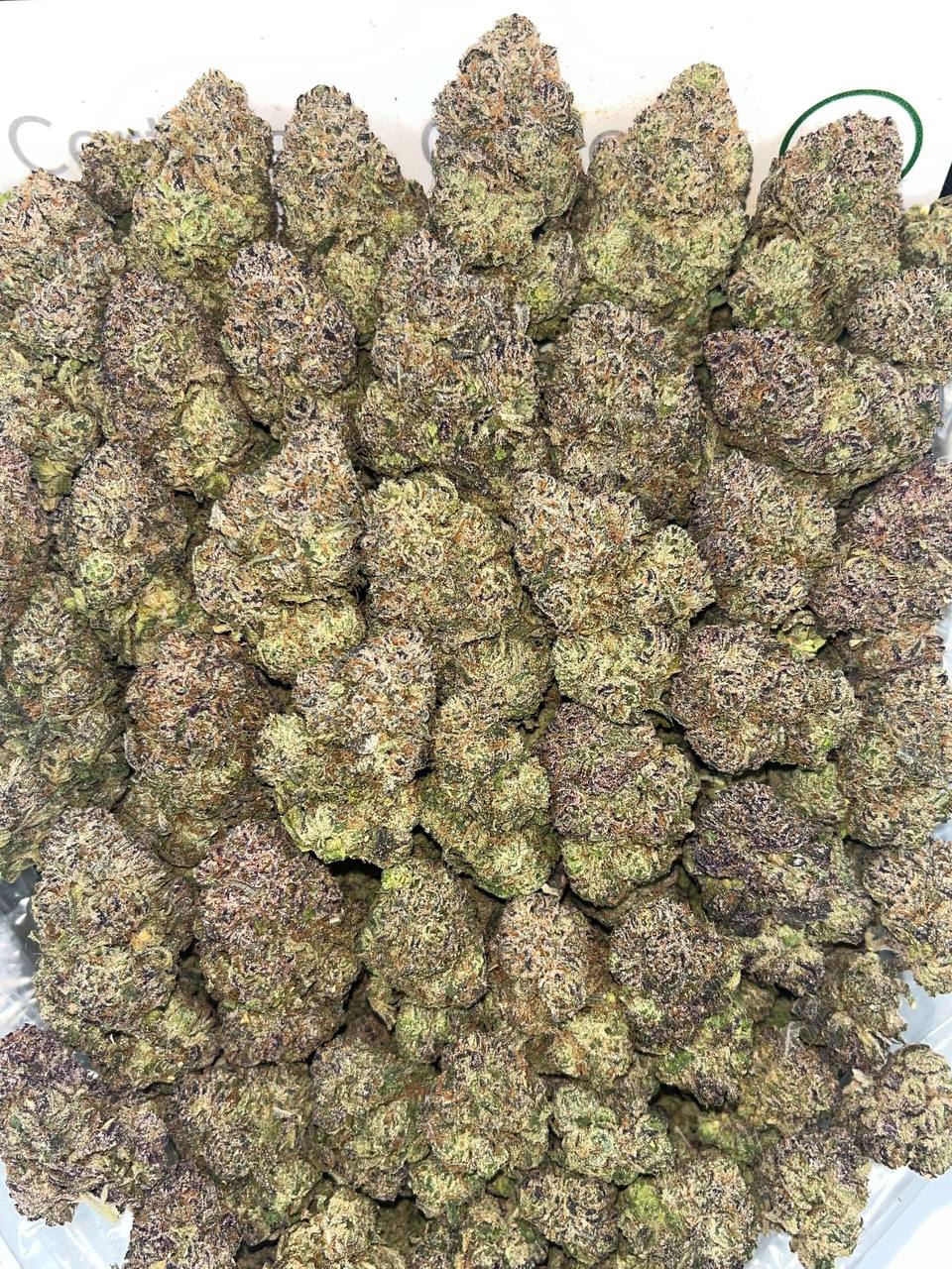 lcg