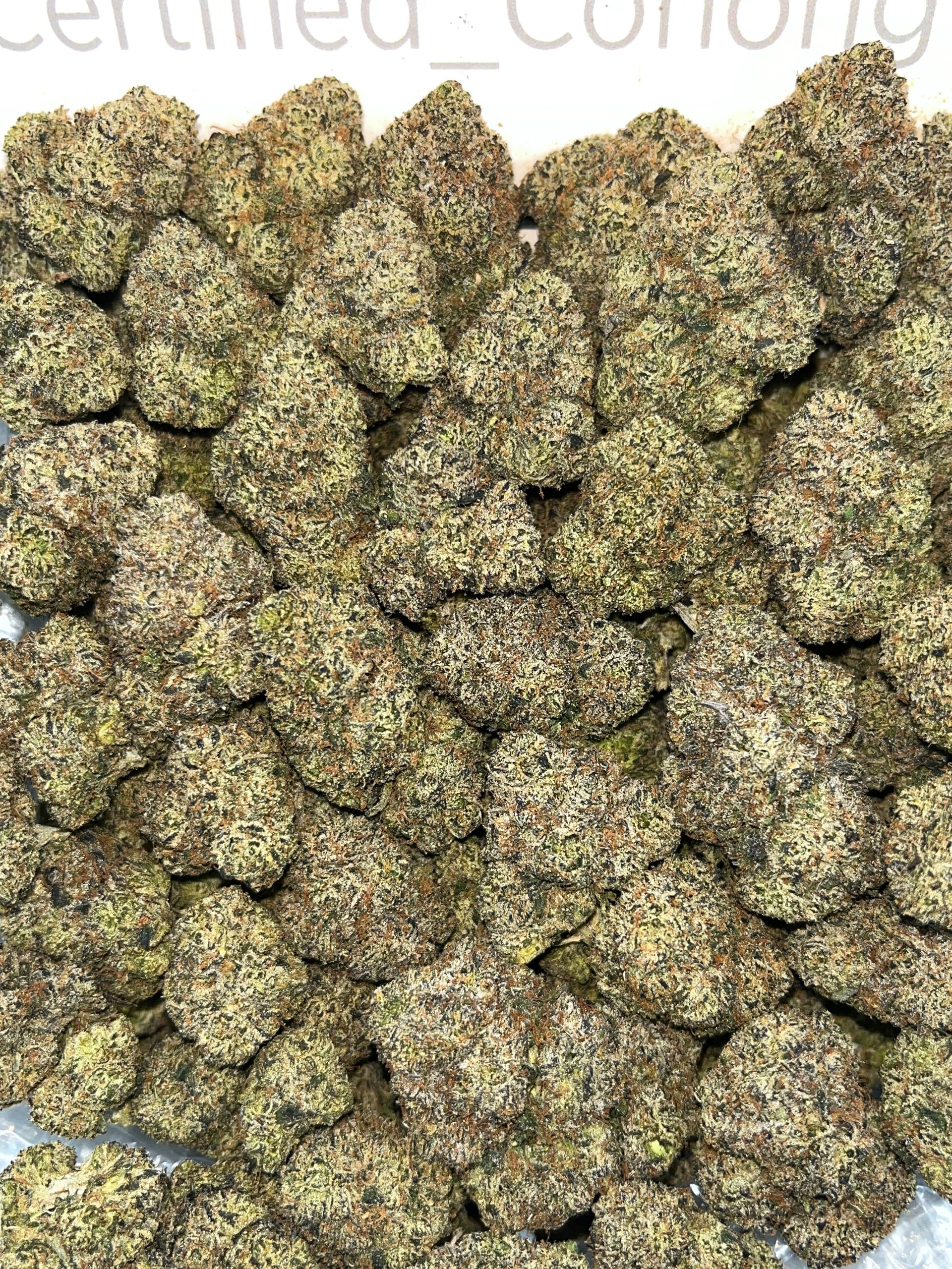 Candytopia Runtz