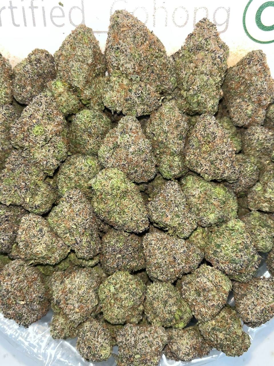 Gelato King