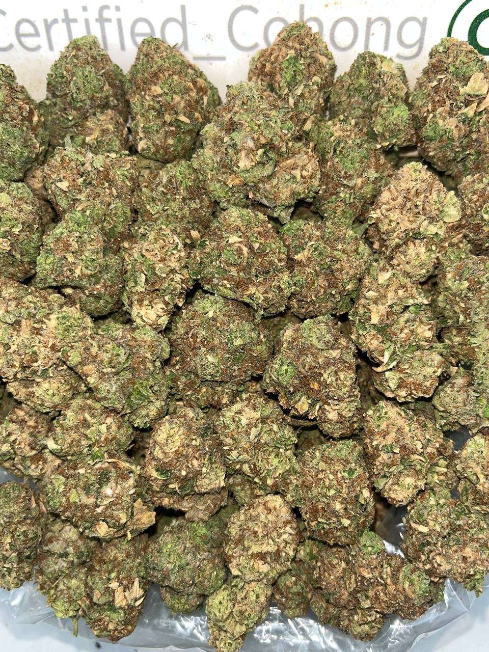 Hood Packs