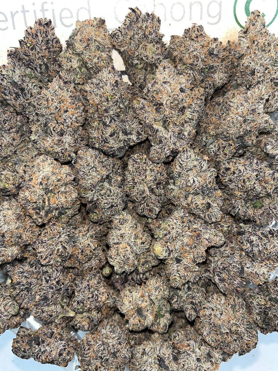 Khalifa Kandy