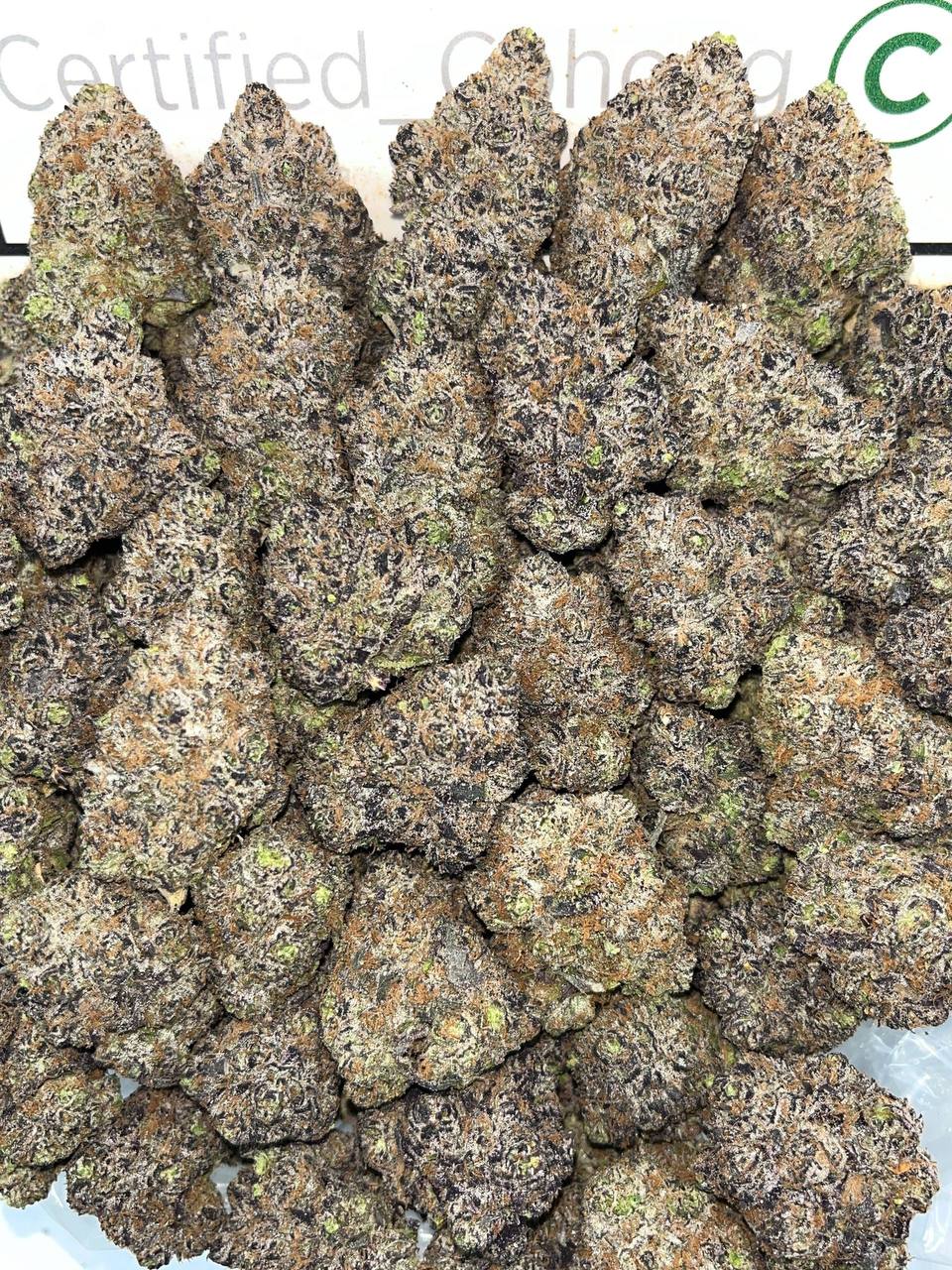 Purple Bubblegum