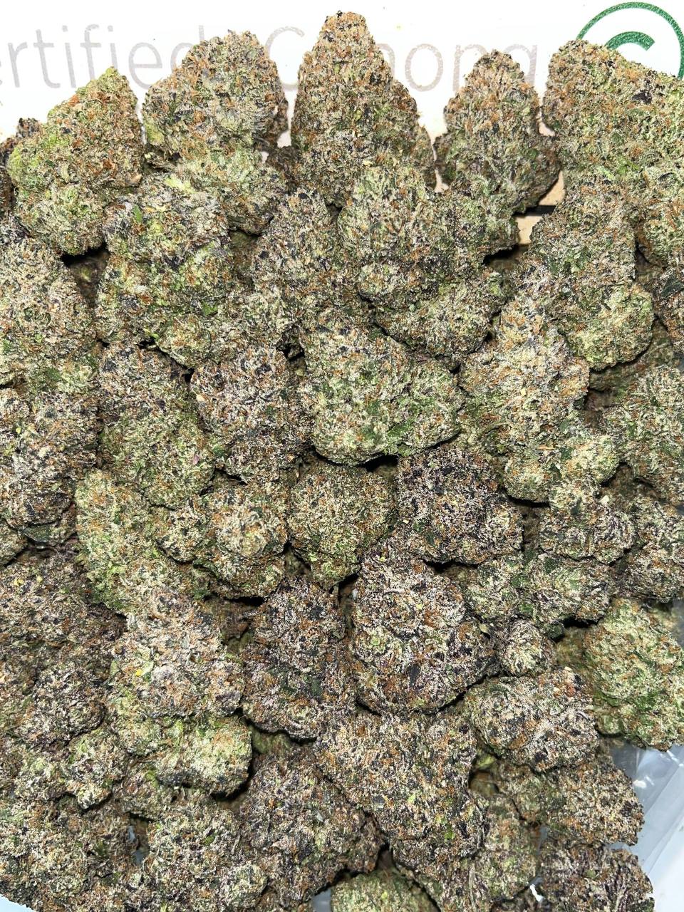 Purple Gasoline