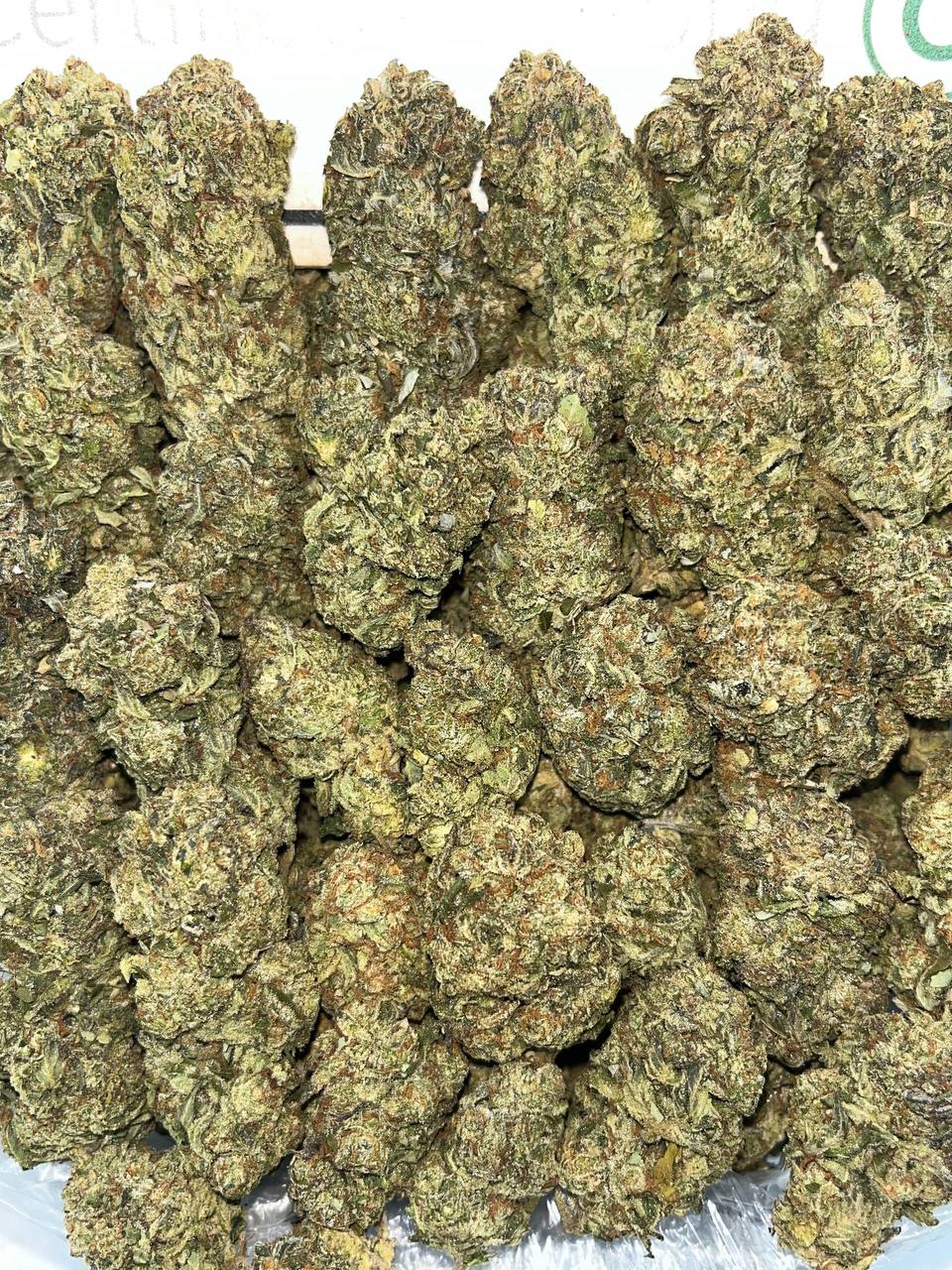 Skunk Funk