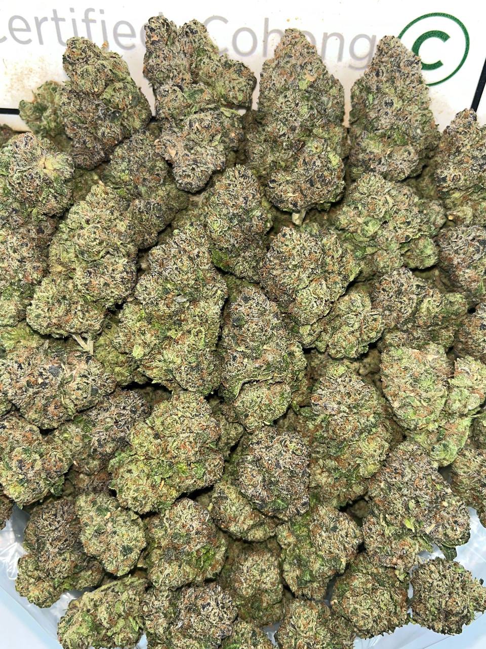 Sour Slurricane