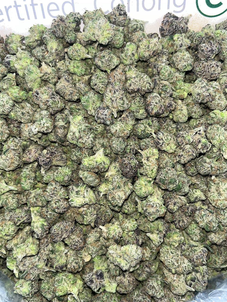 Watermelon Gusher Smalls